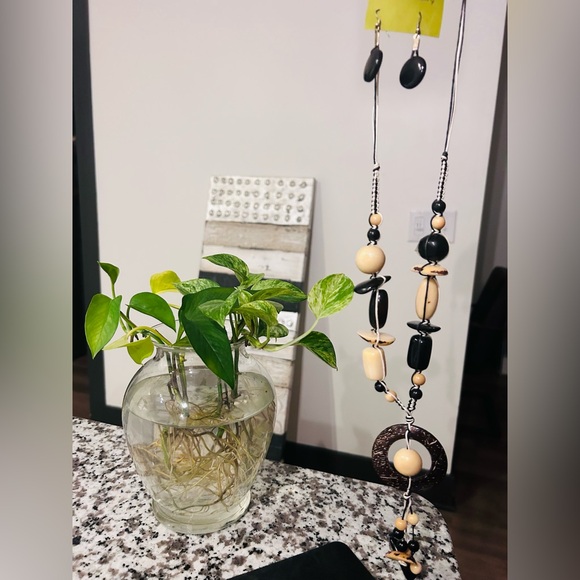 Tagua necklace set - Picture 1 of 2